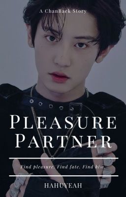 Pleasure Partner