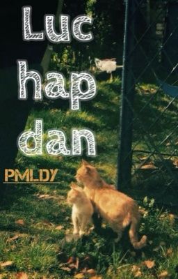 ꒰ °Pmldy ꒱ Lực hấp dẫn