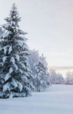 Pod śniegu warstwą - opowiadania zimowe 