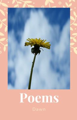 Poetry Collection