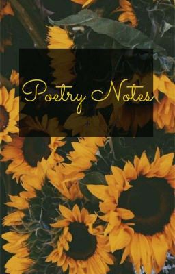 Poetry Notes And Or Short Stories