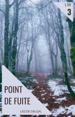 Point de fuite (Laura Woodward - tome 3)