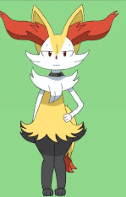 pokefilia braixen: mi amante pokemon