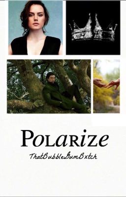 polarιze ~ reylo {ON HOLD}