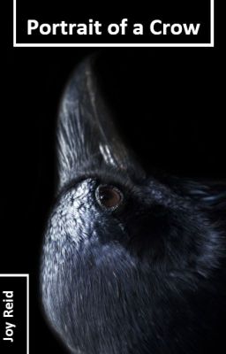 Portrait of a Crow