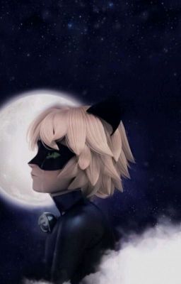 Poslední střípky Černého Kocoura || Miraculous Ladybug [short story] ✓