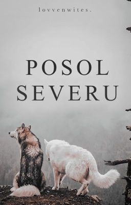 Posol severu