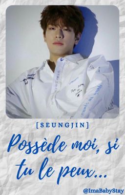 Possède moi, si tu le peux... [ Seungjin] - {SKZ}