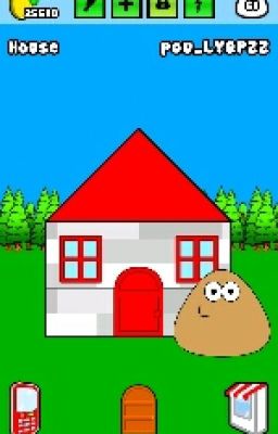 Pou's Diary