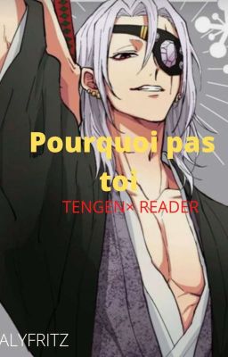 Pourquoi pas toi ? ~ Tengen ×reader ~