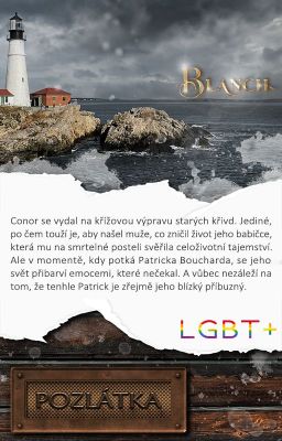 Pozlátka (gay novela)