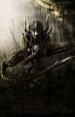 Predalien/alien rp (Females Only)