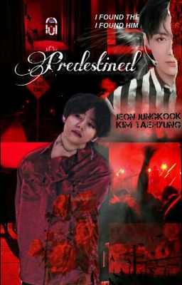  ➳Predestined ✧vkook omegaverse✧