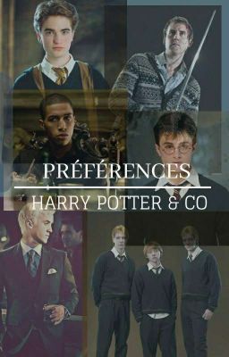 - Préférences Harry Potter et Compagnie -