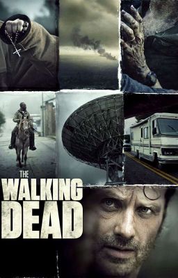 Preferencje, imagify i one-shoty The Walking Dead ♡