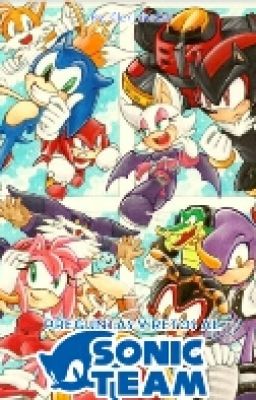 Preguntas Y Retos Al Sonic Team 