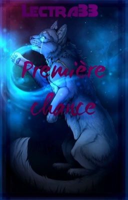 Première chance [Fanfiction LGDC]