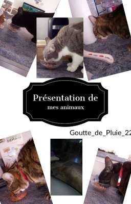 Présentation de mes animaux