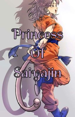 Princess Of Saiyajin (Dragonball) 