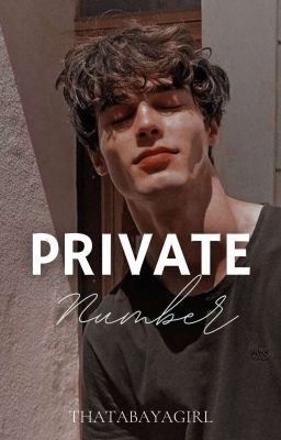 PRIVATE NUMBER | A Chat Story