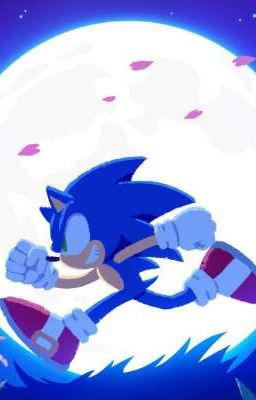 Private Sonic rp aaronfan22 