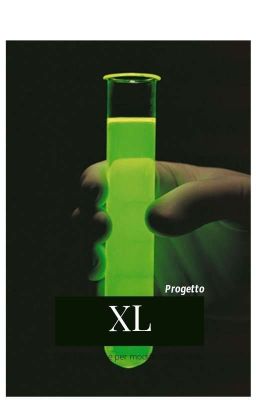 Progetto XL