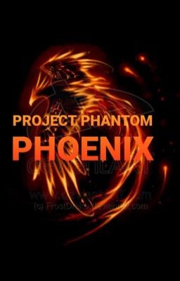 ~Project Phantom Phoenix~