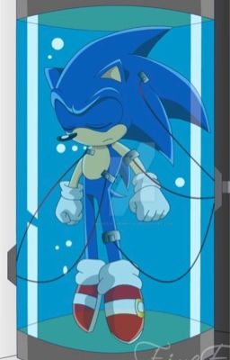 💙🖤Project Sonic🖤💙