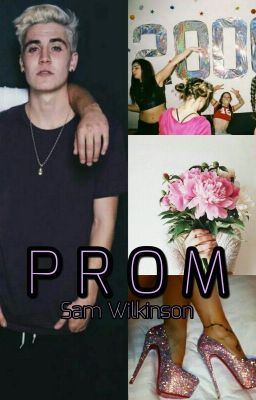 Prom » Sam Wilkinson ||Italian Translation||