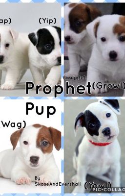 Prophet Pup