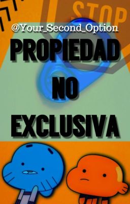 PROPIEDAD NO EXCLUSIVA