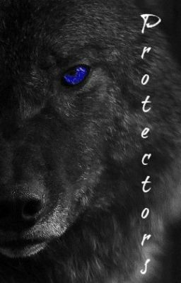 Protector: Book 1  *NEW DRAFT*