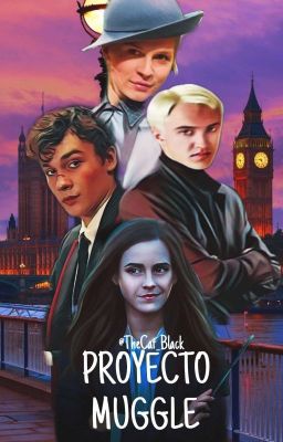 Proyecto Muggle