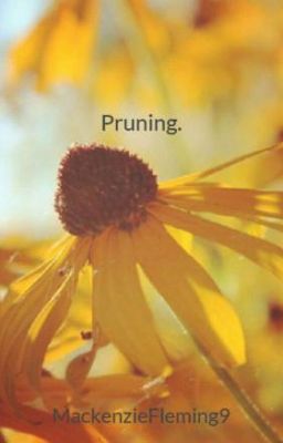 Pruning.