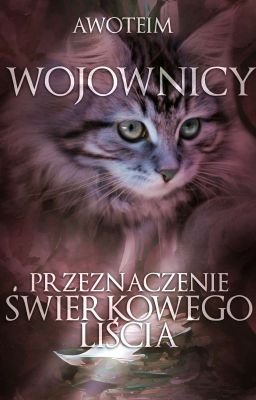 Przeznaczenie Świerkowego Liścia