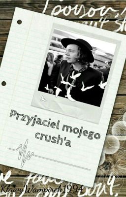 Przyjaciel Mojego Crush'a || H.S. ♡♡♡