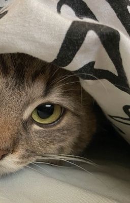 [PS] Highschool sweethearts.