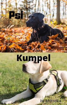 Psi Kumpel ✅