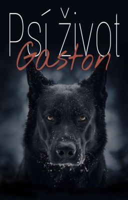 Psí život - Gaston