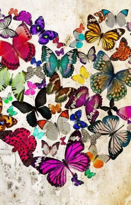 ¿Pueden los bichos raros enamorarse de mariposas?