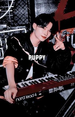 puppy ¡𔘓! wonki