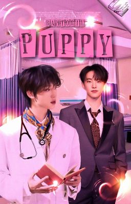 Puppy 𖥔 SoonHao