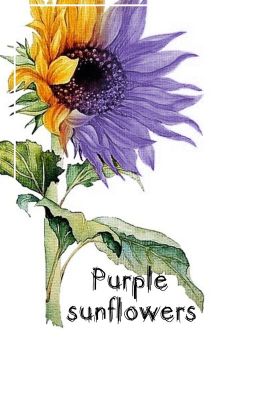 Purple sunflowers