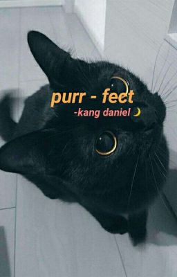 purr-fect ○ Kang Daniel