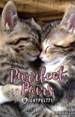 Purrfect Pairs || An Individual Warriors Romance Roleplay