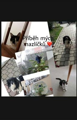 Příběh mých mazlíčků ❤