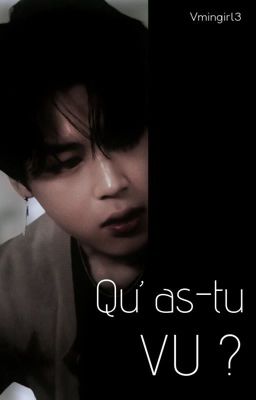 Qu'as-tu vu ? [Vminkook]