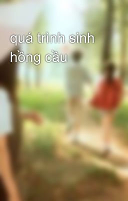 quá trình sinh hồng cầu