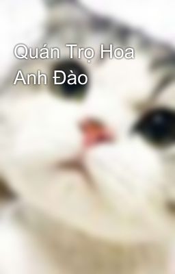 Quán Trọ Hoa Anh Đào