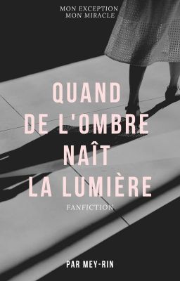 Quand de l'ombre naît la lumière // Livaï X Reader - TERMINEE